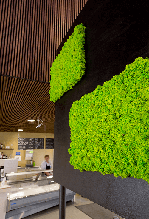 Flexi-panel z Islandského mechu sada 2 ks 100x60 - May green